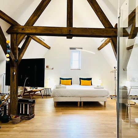 Apartament Le Loft Colmar Zewnętrze zdjęcie