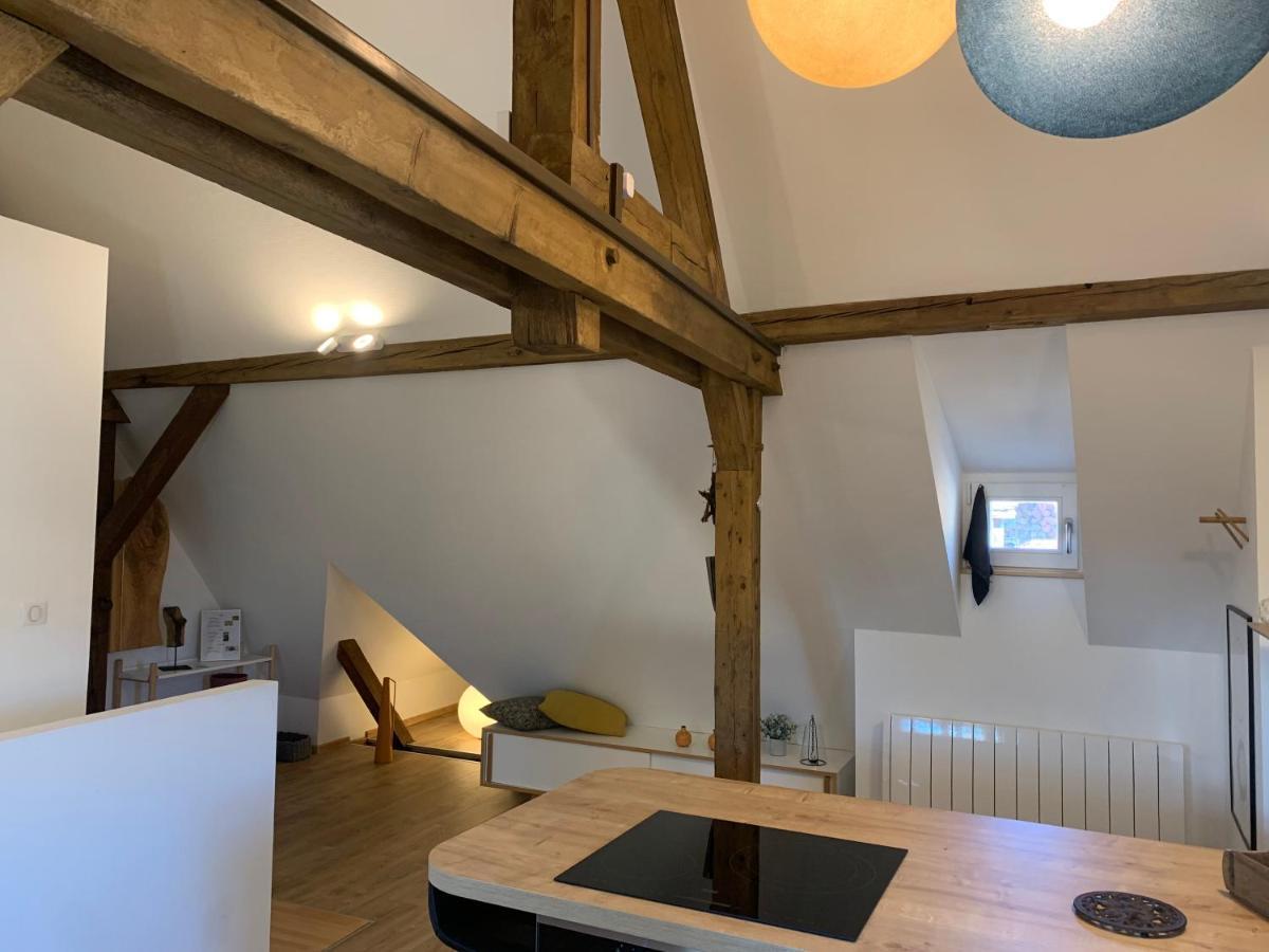 Apartament Le Loft Colmar Zewnętrze zdjęcie