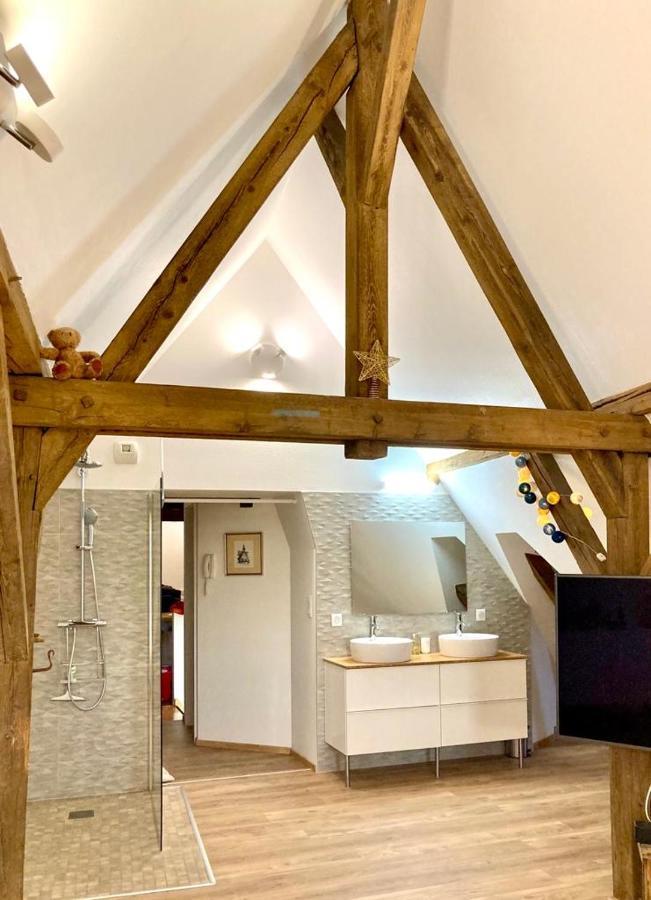 Apartament Le Loft Colmar Zewnętrze zdjęcie