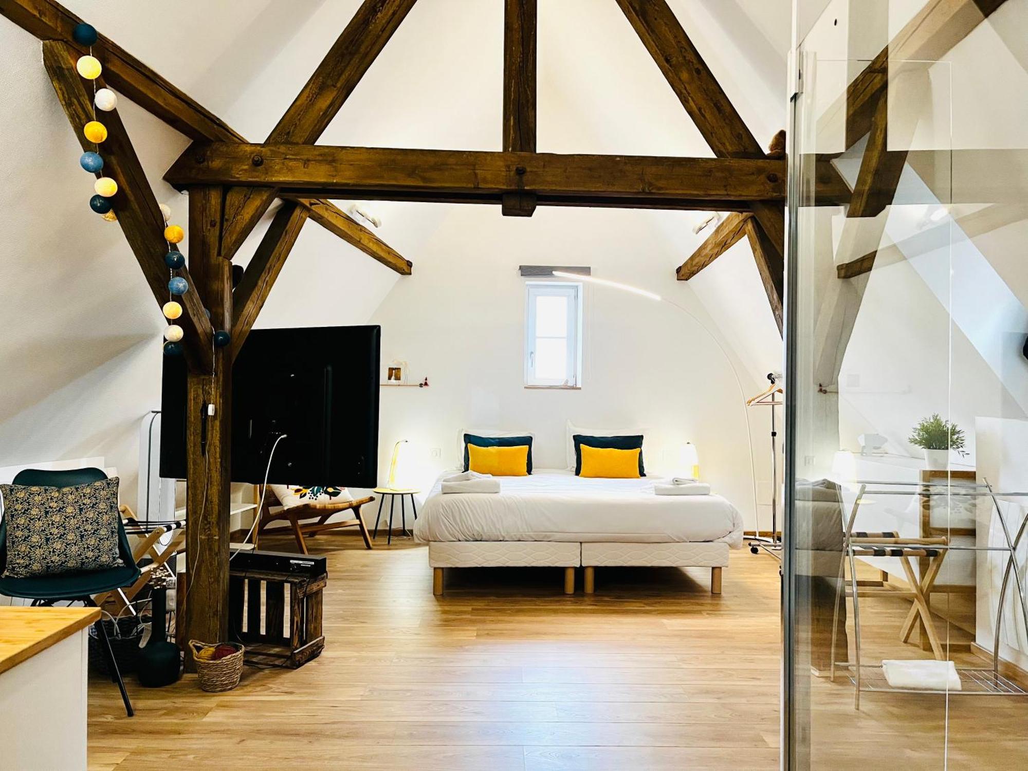 Apartament Le Loft Colmar Zewnętrze zdjęcie