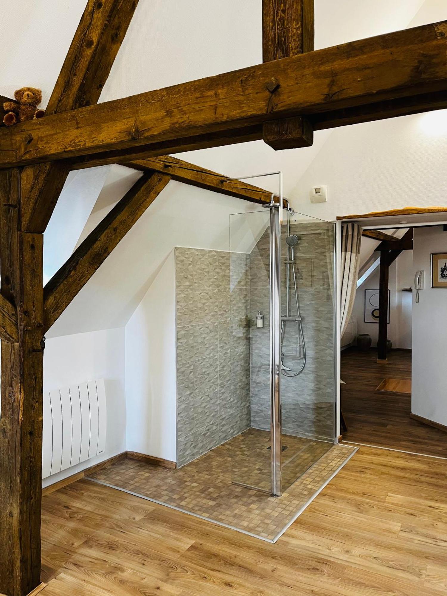 Apartament Le Loft Colmar Zewnętrze zdjęcie